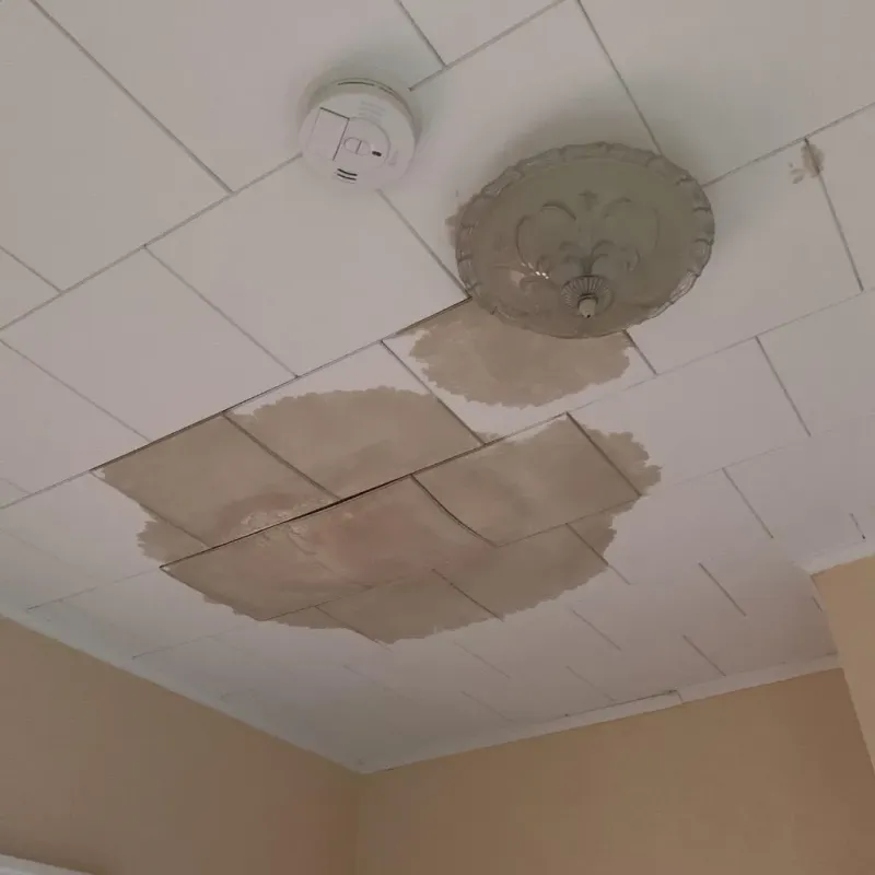 Ceiling Water Damage Repair in Genoa City, WI