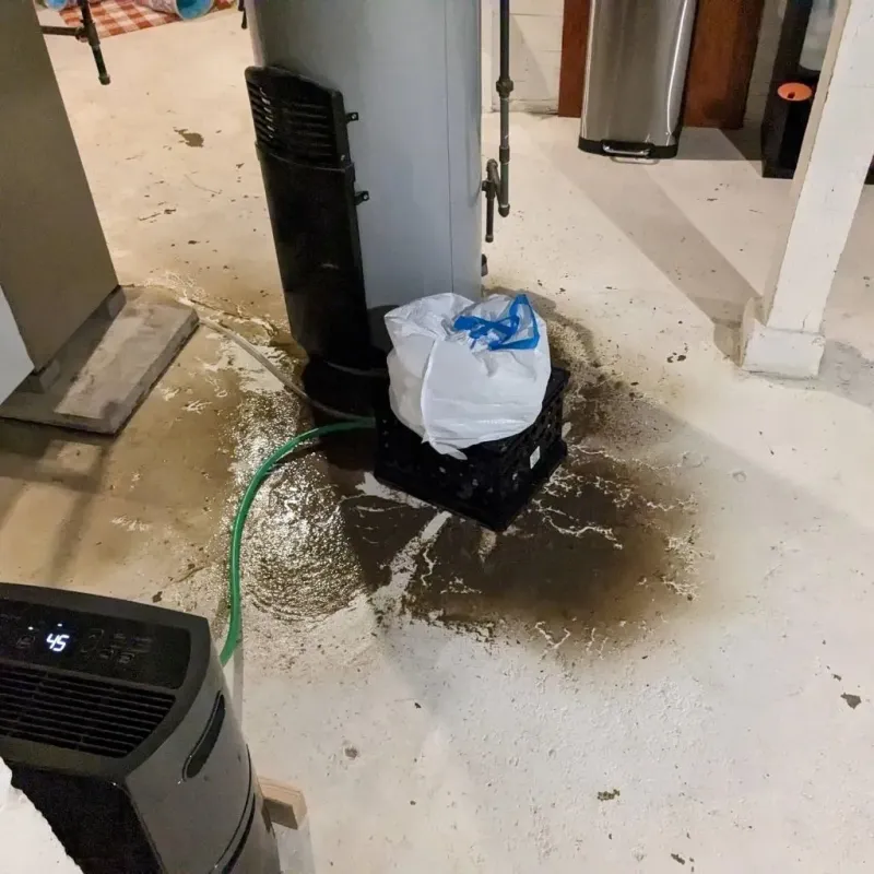 Sewage Backup Cleanup Service in Genoa City, WI